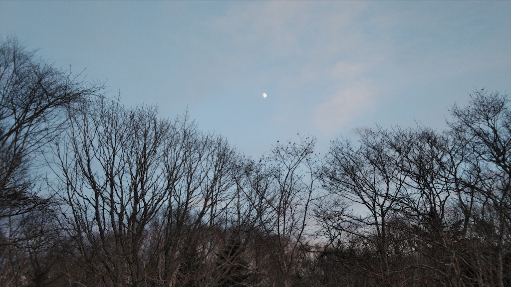 f:id:wanpaku-yaseiji:20210129200151j:image f:id:wanpaku-yaseiji:20210129200151j:image