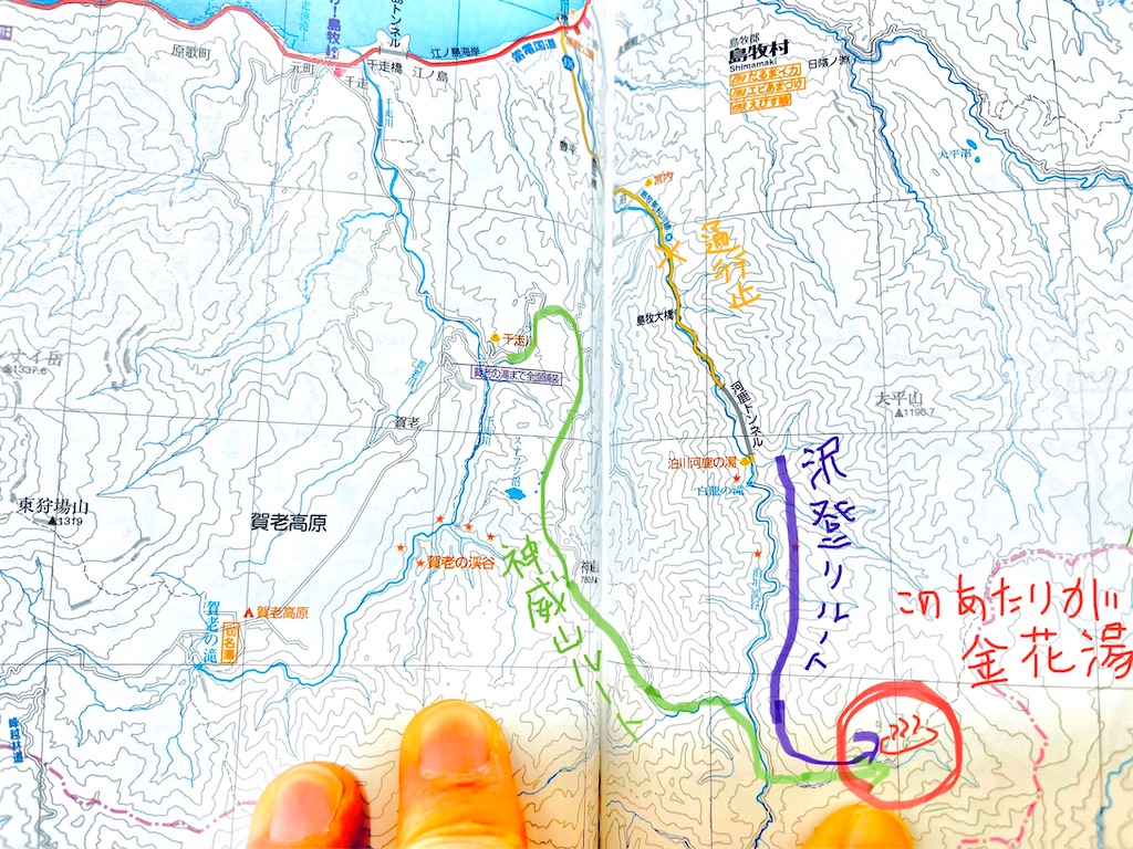 f:id:wanpaku-yaseiji:20210519022538j:image f:id:wanpaku-yaseiji:20210519022538j:image