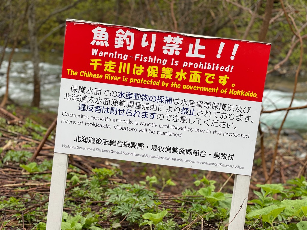 f:id:wanpaku-yaseiji:20210525124524j:image f:id:wanpaku-yaseiji:20210525124524j:image