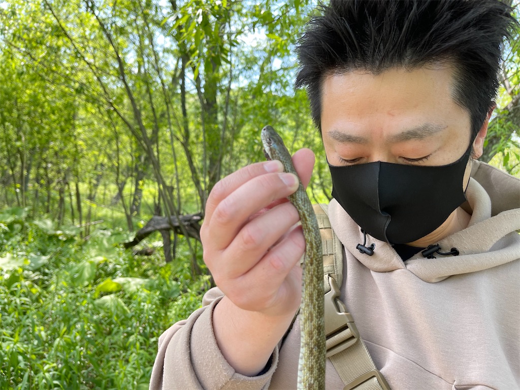 f:id:wanpaku-yaseiji:20210607192238j:image f:id:wanpaku-yaseiji:20210607192238j:image