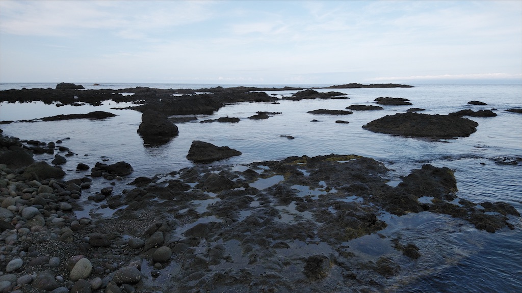 f:id:wanpaku-yaseiji:20210615021638j:image f:id:wanpaku-yaseiji:20210615021638j:image