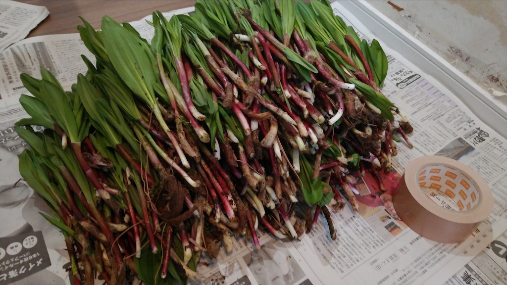 f:id:wanpaku-yaseiji:20210617124517j:image f:id:wanpaku-yaseiji:20210617124517j:image