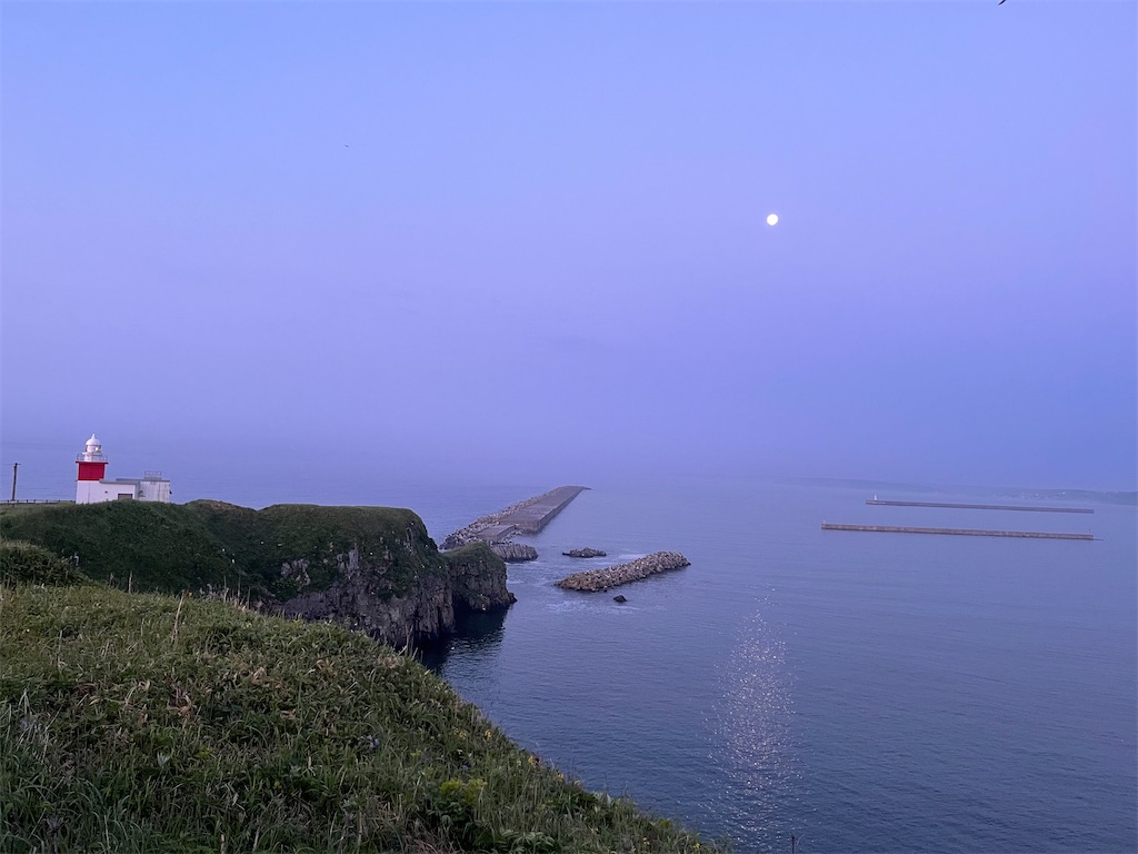 f:id:wanpaku-yaseiji:20210703123310j:image f:id:wanpaku-yaseiji:20210703123310j:image