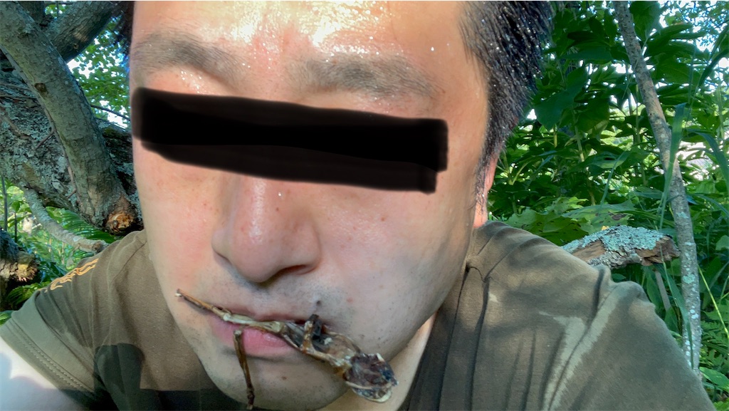 f:id:wanpaku-yaseiji:20210729214708j:image f:id:wanpaku-yaseiji:20210729214708j:image