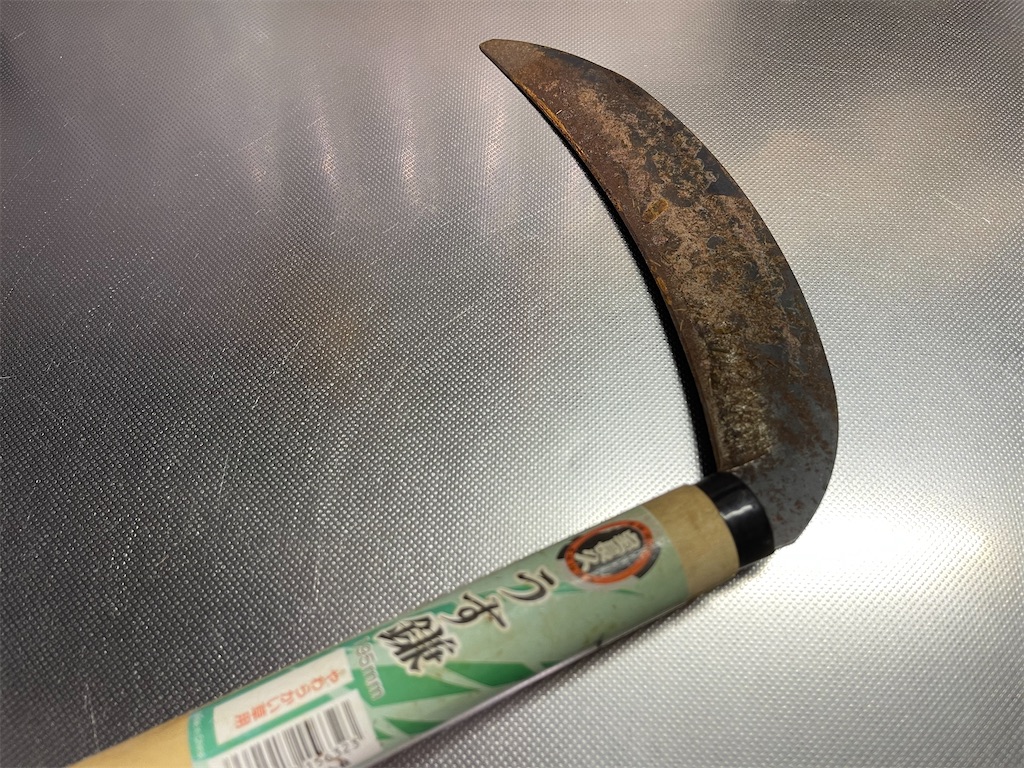 f:id:wanpaku-yaseiji:20211119183920j:image f:id:wanpaku-yaseiji:20211119183920j:image