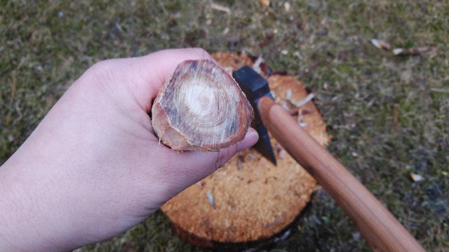 fatwood01
