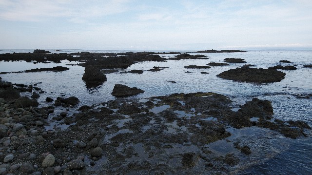 tidepool01