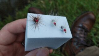 tenkara01
