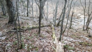 snowmt01
