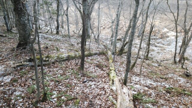 snowmt01
