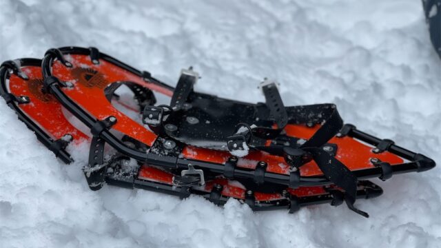 snowshoea01