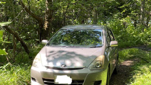 toyotawish01
